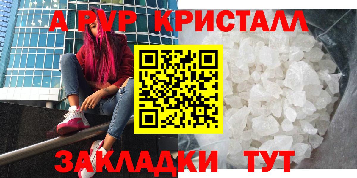 Альфа ПВП СК КРИС Сочи