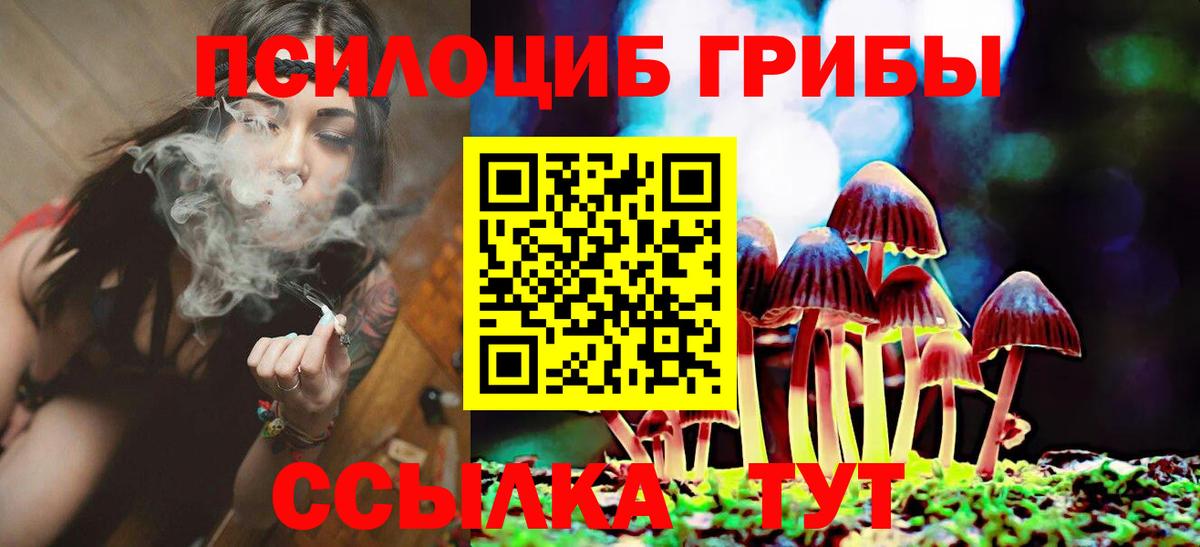 Псилоцибиновые грибы ЛСД Сочи