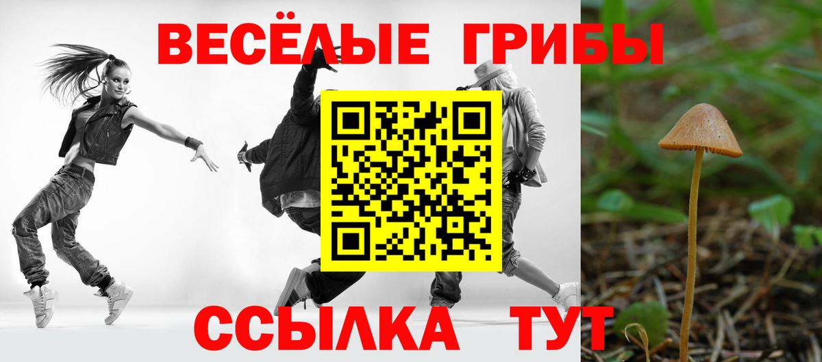 Псилоцибиновые грибы Cubensis  Вход с VPN  Сочи 
